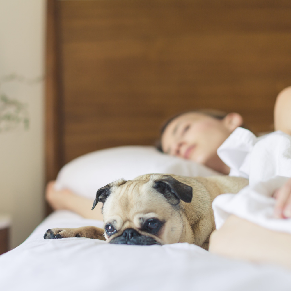 7 Common Sleep Rumors That Might Be Harming Your Health
